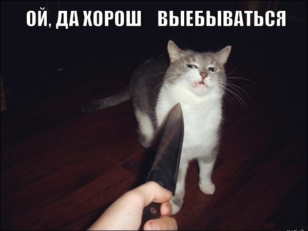 Так себе картинки 07.05.21