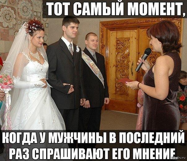 Ужасающая БРАЧНАЯ статистика РОССИИ