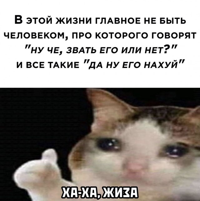 Картинки и мемы для настроения 16.06.2021