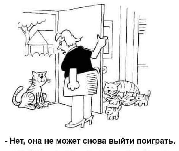 Вот и я понял - нельзя верить женщинам или как я с прицепами оказался!