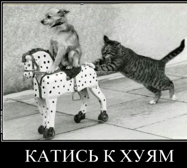 С новым Казахстаном! Президент Токаев о том, что будет дальше