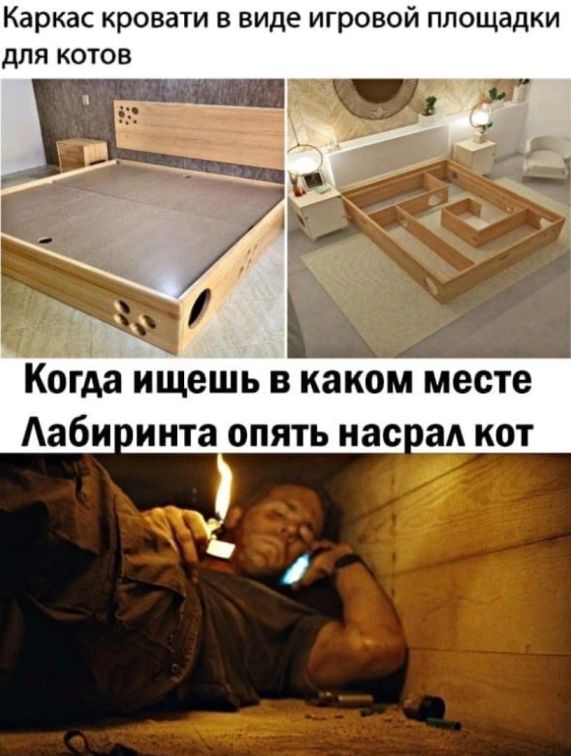 Всяческие картинки 17.01.2022