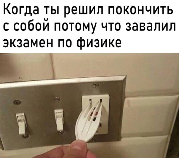 Всяческие картинки 02.02.2022
