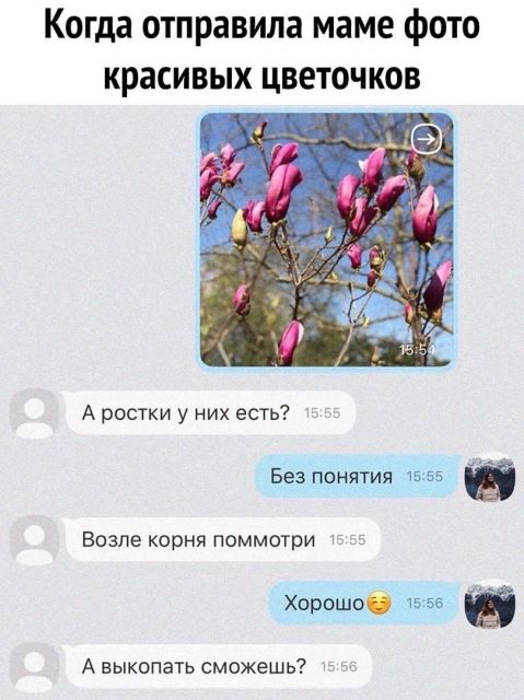 Картинки и буквы 11.03.22