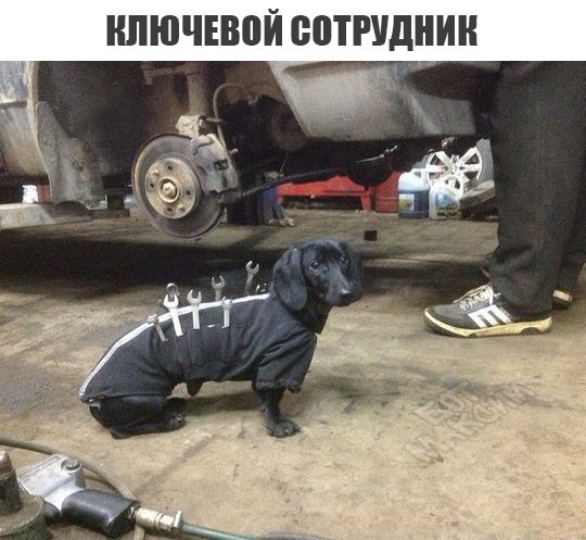 Да что же это такое-то, А?