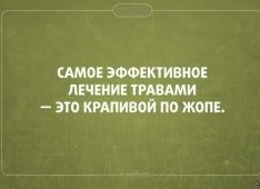Грибы против Альцгеймера, вирусных гепатитов