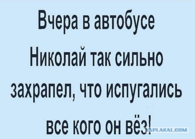 Веселые картинки!