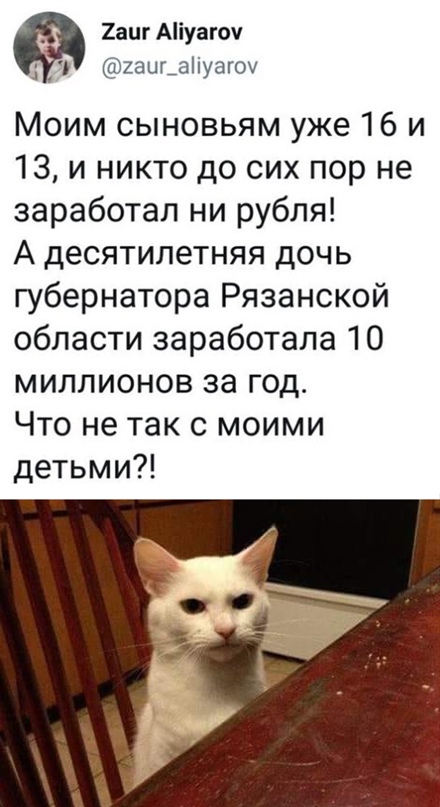 Весёлый полтишок 11.07.22