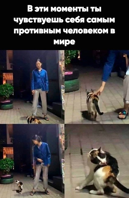 Картинки и мемы для настроения. Выходные скоро