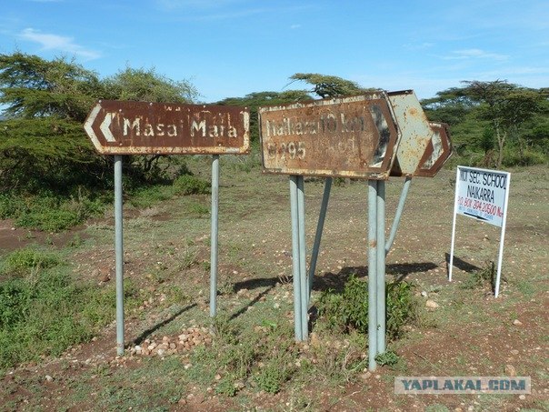 AFRICA - (Эфиопия,Кения,Танзация) 4-16 ноября 2011