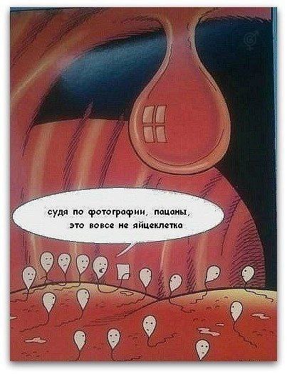 Немного мемчиков. Для взрослых. Часть 25
