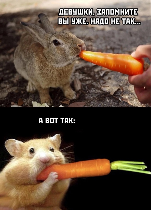 Немного картинок для настроения/постпраздничное