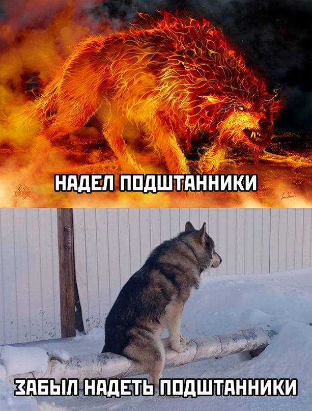 Картинки и мемы для настроения - 131