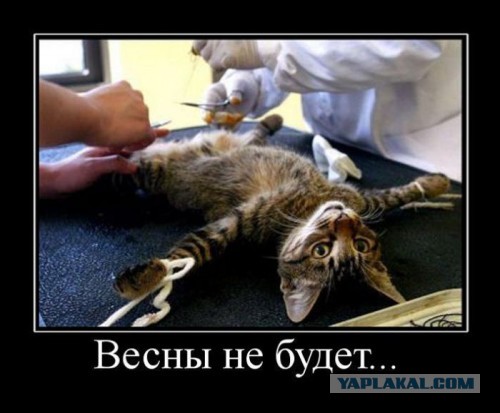 Ничего не знаю!