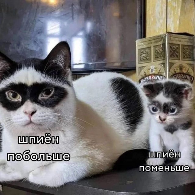 Картинки и мемы, всяко - 169