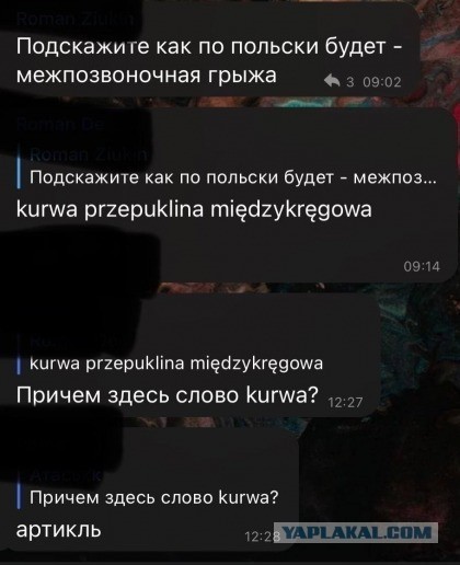 Поляк встретил ежа