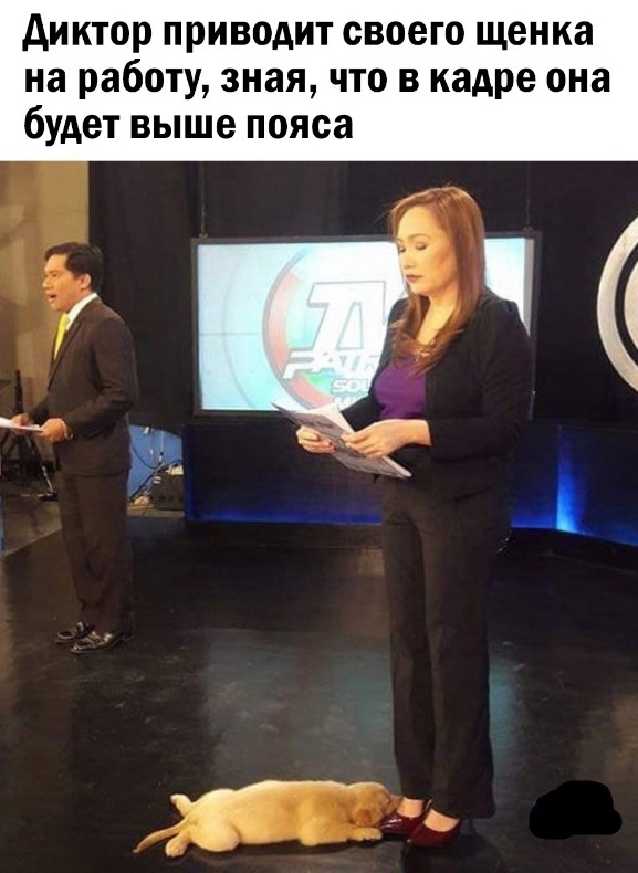 Так себе картинки 17.07.23