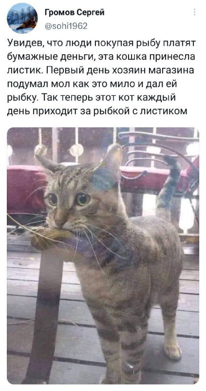 Мемы для самых умных