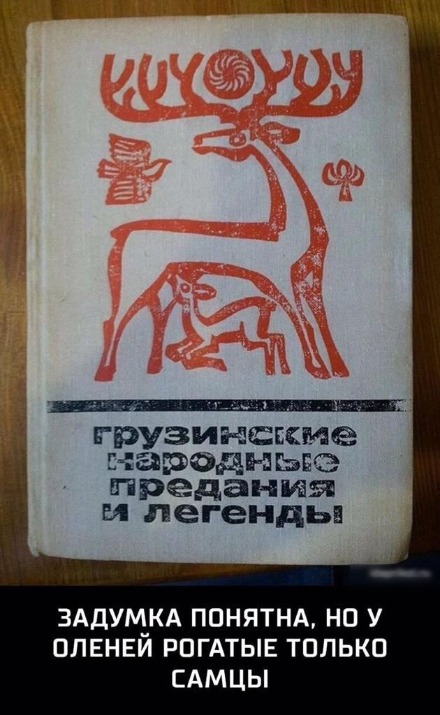 Картинки из Дристоля