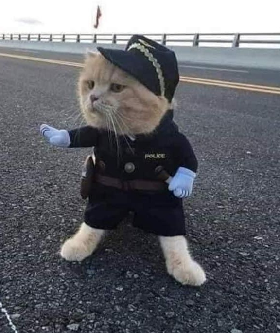 А вы уже купили себе будильник?