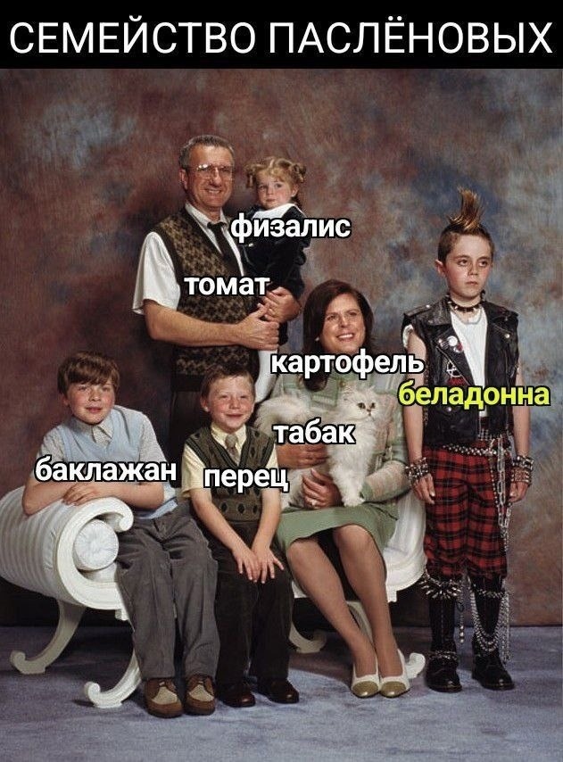 Нуштош 16.08.2024
