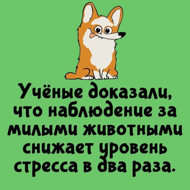 Подборка интересных фактов на все случаи жизни