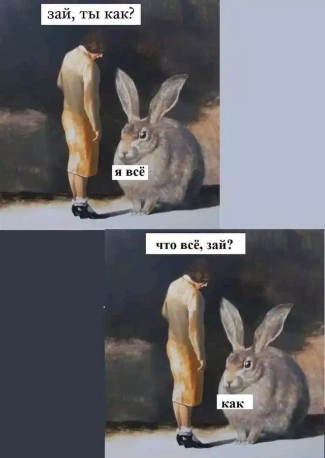 Зая зая!