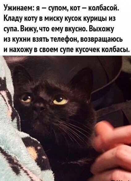 Картинки