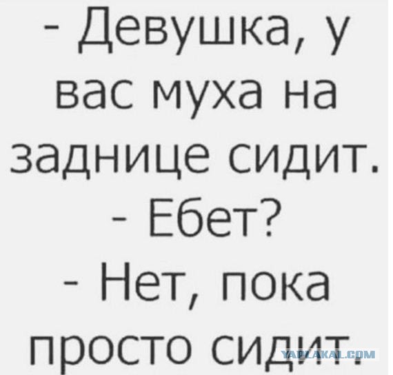 30 картинок на субботу