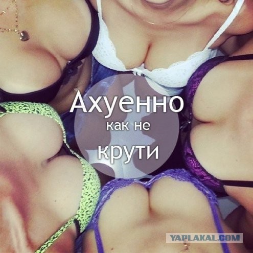 Вид сверху.