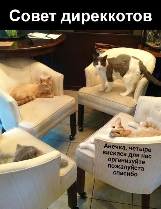 Маленькая пятница 18.06