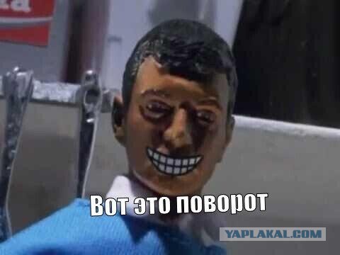 ТО пёселя
