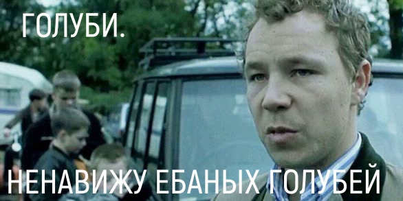 «Ё*аные голуби, бл*ть!»