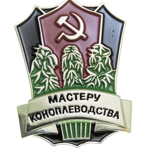 В Питере мужчина вырастил целую плантацию конопли прямо в квартире