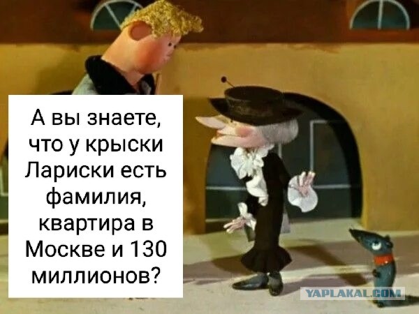 Картинки для деградации 98 (разной степени свежести)