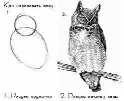 Рисуем носорога