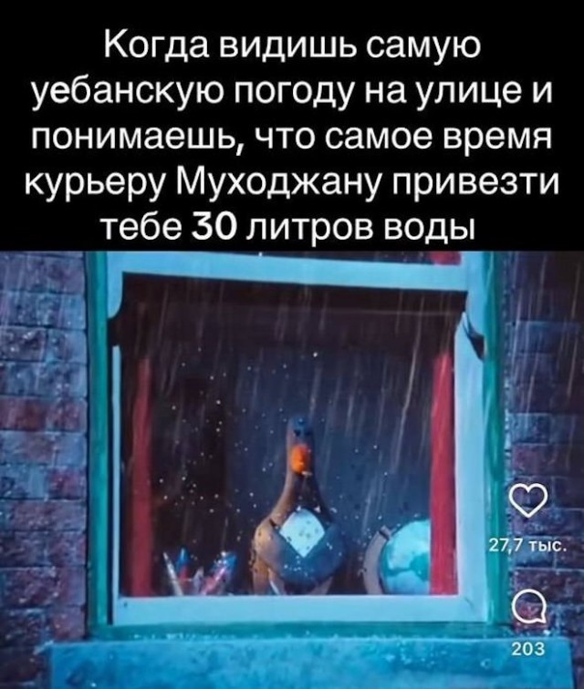 Сегодня в России отмечается день курьера