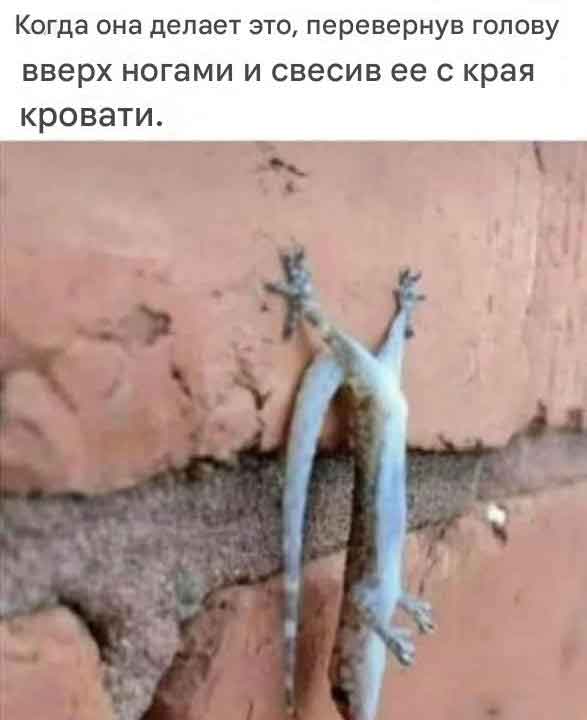 Немного пошлой деградации