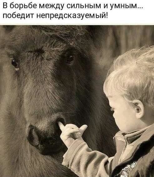 В госдуме начнут бороться с блокировками