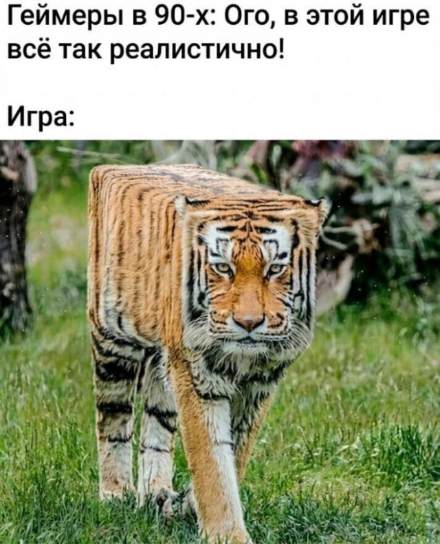 К котовторнику: подборка картинок-баянов с котиками и про котиков. Выпуск 37.