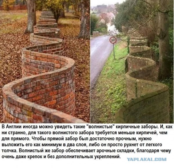 Так себе картинки 12.06.26