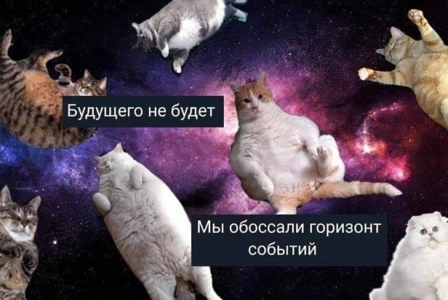 К котовторнику: подборка картинок-баянов с котиками и про котиков. Выпуск 40.