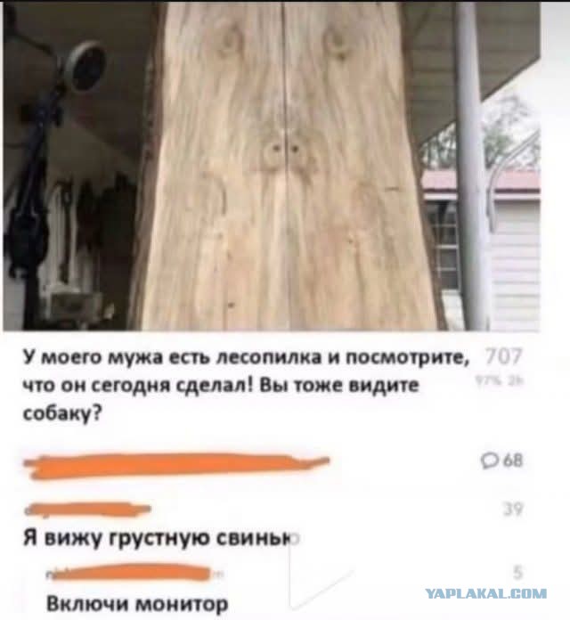 Картинки для деградации 306 (разной степени свежести)