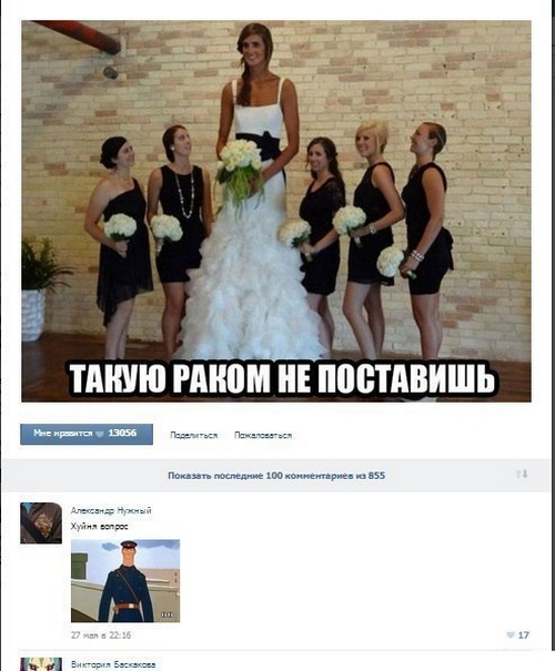 Смешные комментарии из социальных сетей