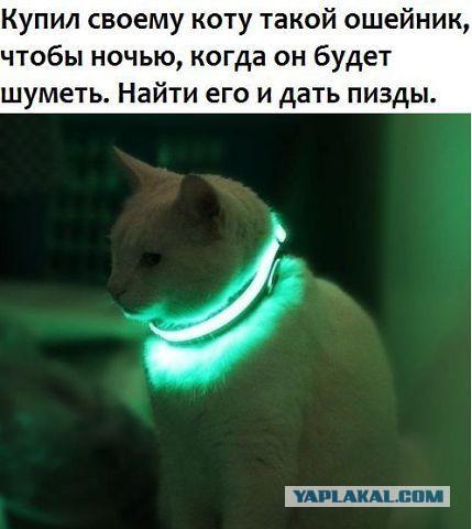 Не про олимпиаду