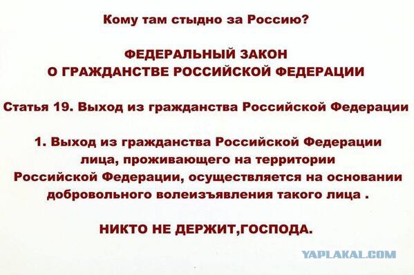 Десяток карикатур