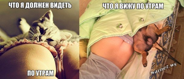 Пох, и так сойдет!