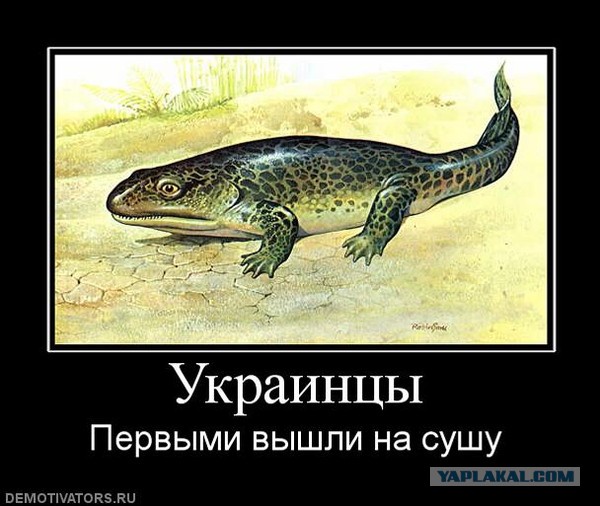 "Украинский язык древнее латыни!" - ВО "Свобода"