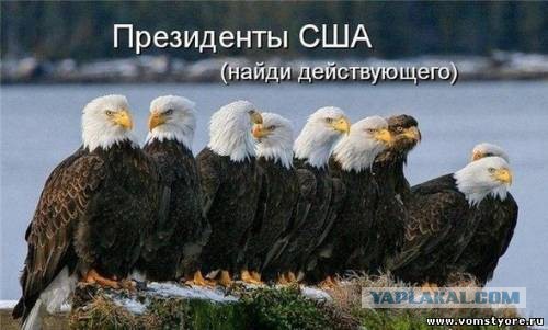 Позитивные картинки