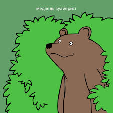 Спасение тонущего медведя.
